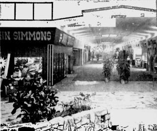 Sky City: Retail History: Gadsden Mall Opening Day - July 29, 1974