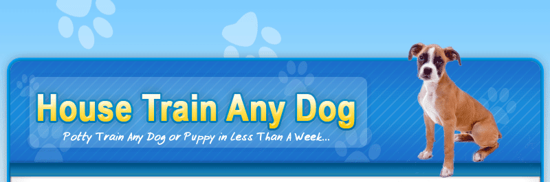 How to train any Dog in less than a week!!!