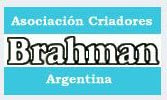 BRAHMAN - ARGENTINA