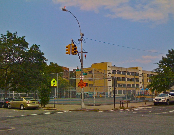 H A R L E M + B E S P O K E ☞ REMEMBER P.S. 78 on Pleasant Avenue