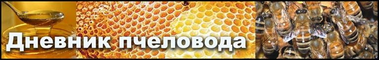 Bees Bible - Дневник пчеловода