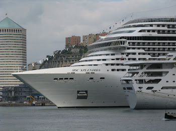 MSC Splendida