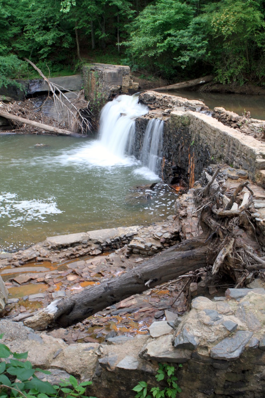 Today's Creations Freeman's Mill Park