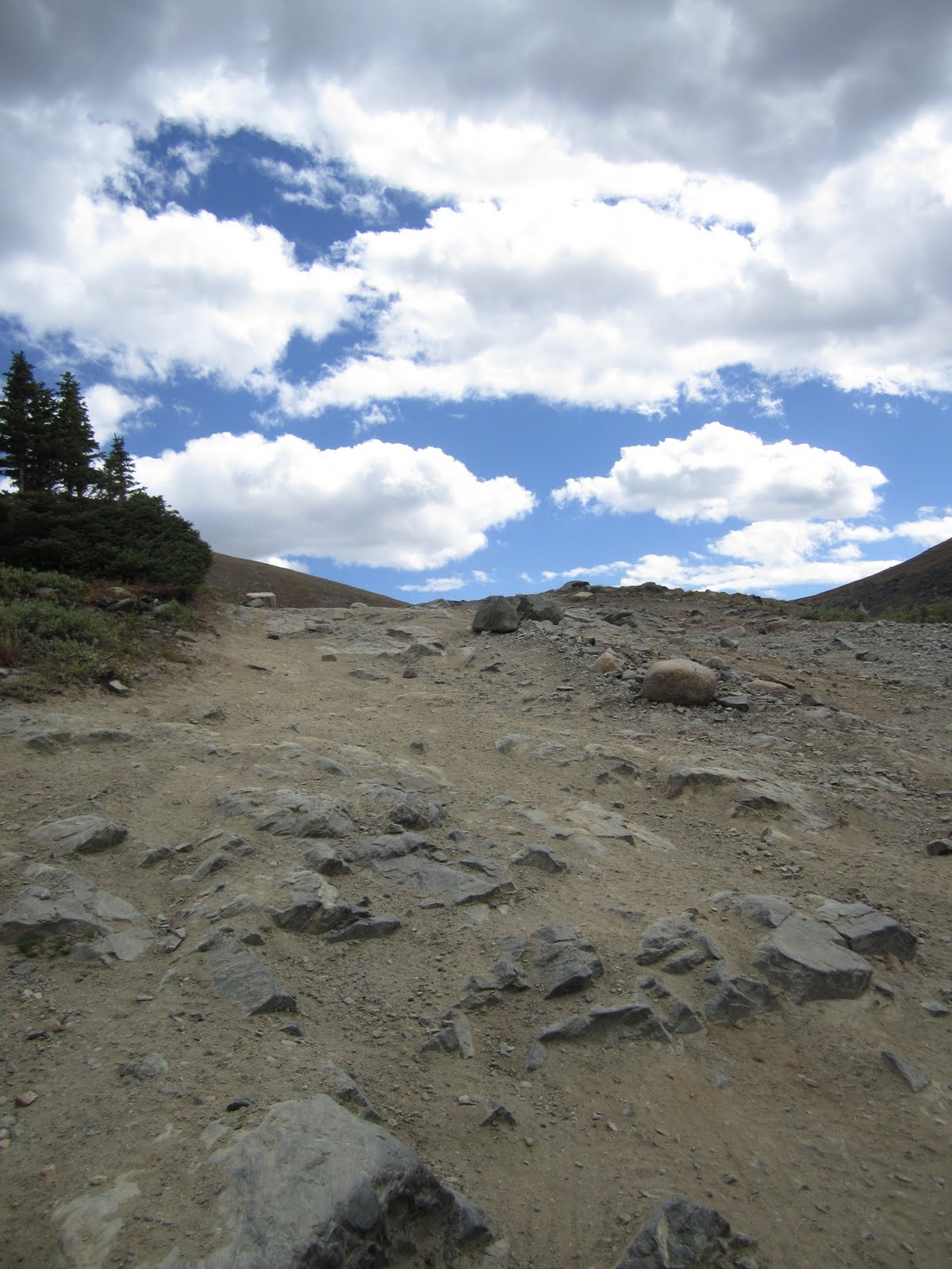 Colorado Cottrells Taylor Park, CO