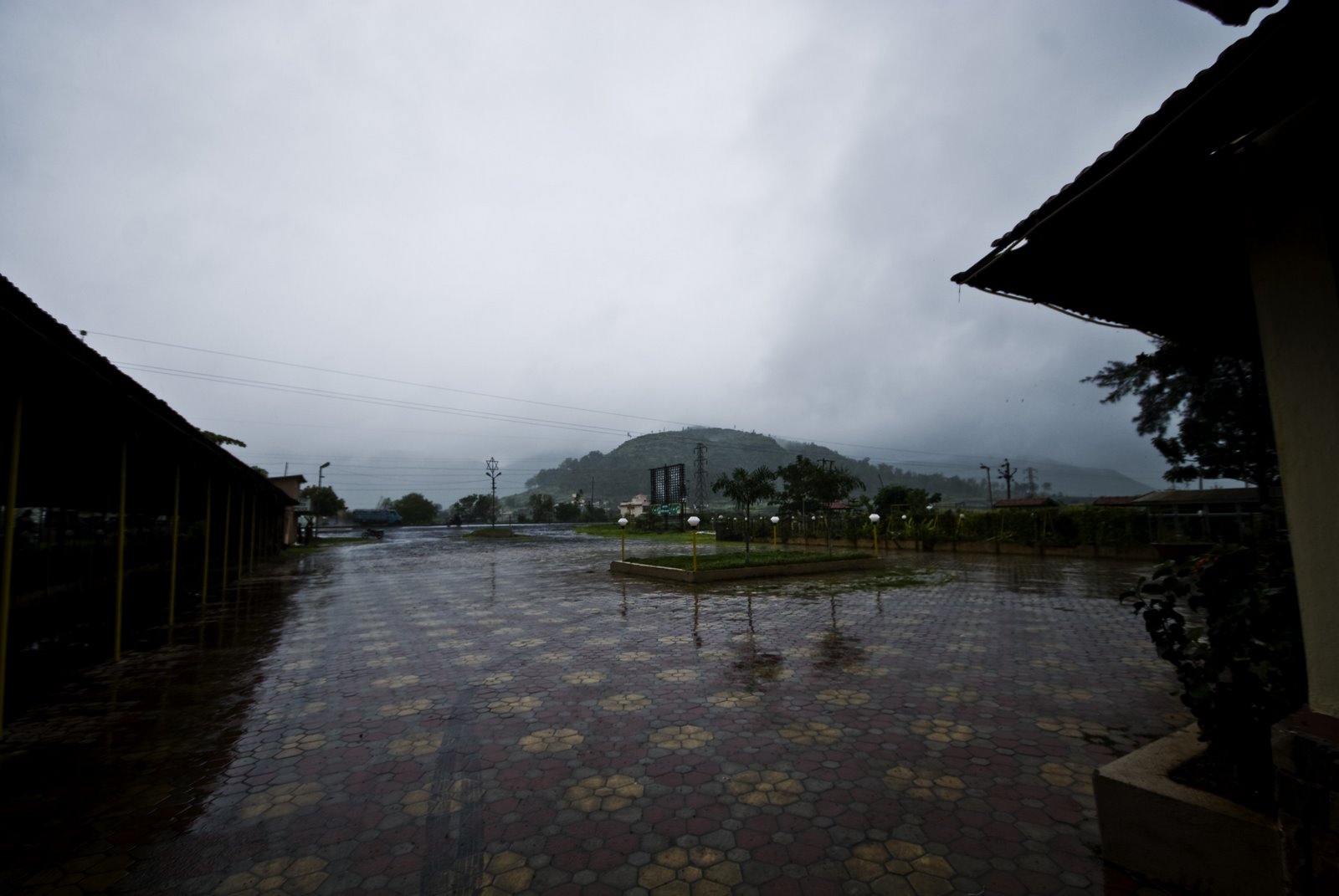 [DSC_2706.jpg]