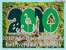 2010 AÑO INTERNACIONAL DE LA DIVERSIDAD BIOLOGICA