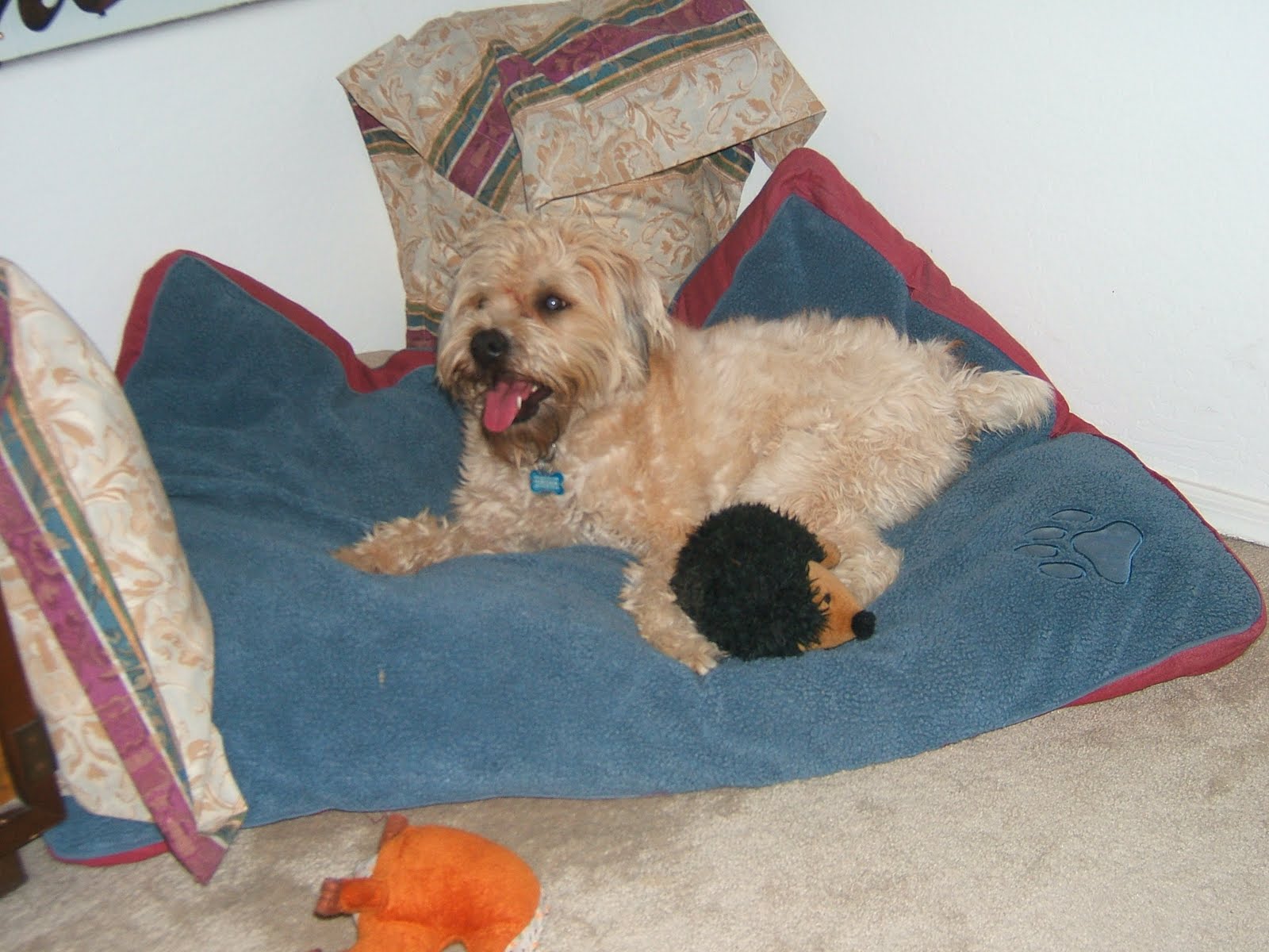 [2009_0620JUNE-JULY090170.JPG]