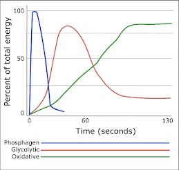 Energy Pathways