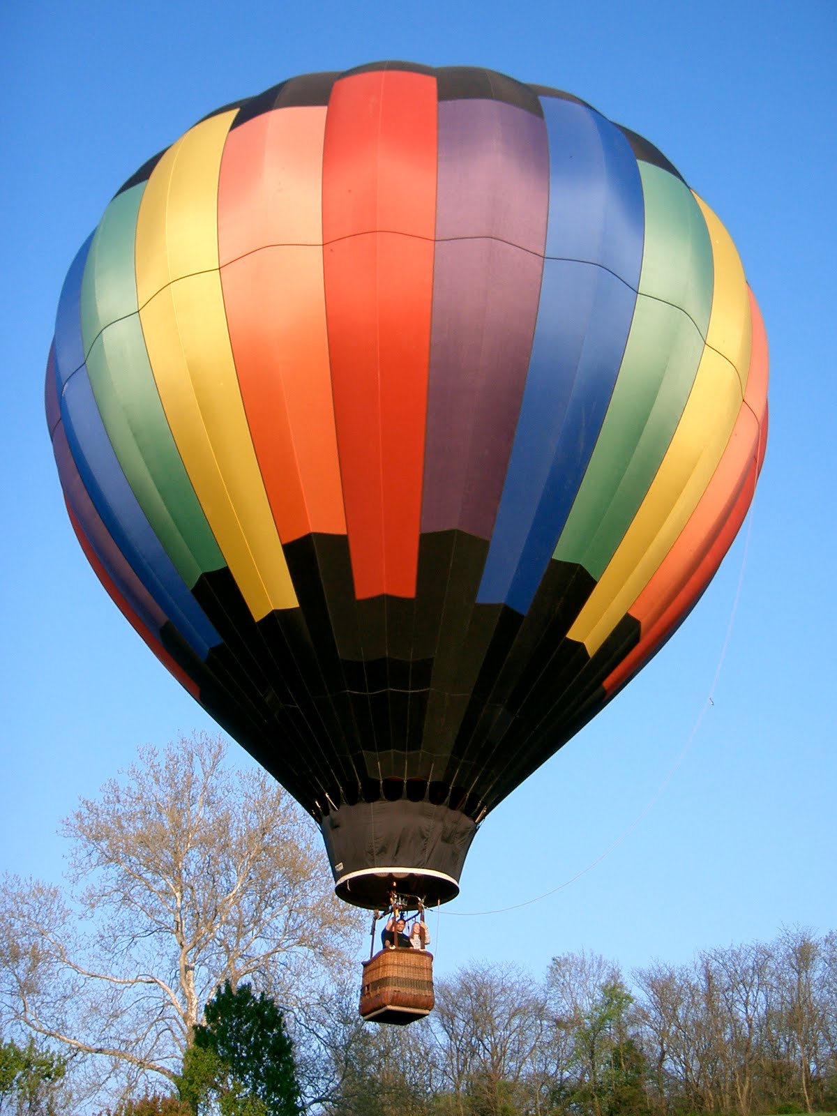 Dream Wedding and Event Planners Unique Wedding in Ann Arbor, Michigan