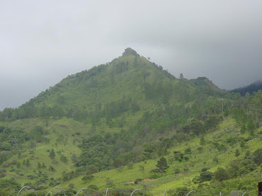 LA PIEDRA DE APAGÜÍZ: Fotos de la ciudad de Danlì