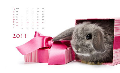 Language log » happy new year rabbit you Yours Sincerely..nc: Not Just A New Year