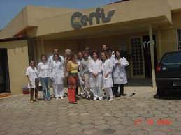 Equipe do Cerfis