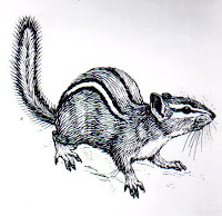 pollinator gardens: Subterranean Pollinators: of chipmunks, bumblebees ...