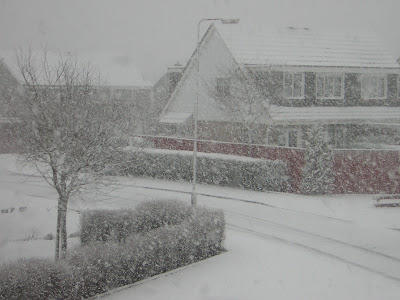 >A LIFETIME OF GLOBAL WARMING