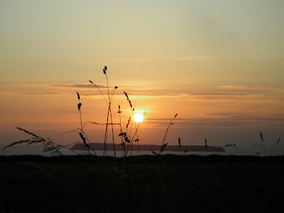 >US STATE RECORDS CONTRADICT A LOT OF WHAT THE IPCC AND OTHERS CLAIM INCLUDING CLAIMS OF WARMEST LAND AND OCEAN ON RECORD