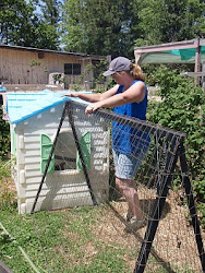 playhouse coop chicken unused into weed step converting health worm fertilizing eating control