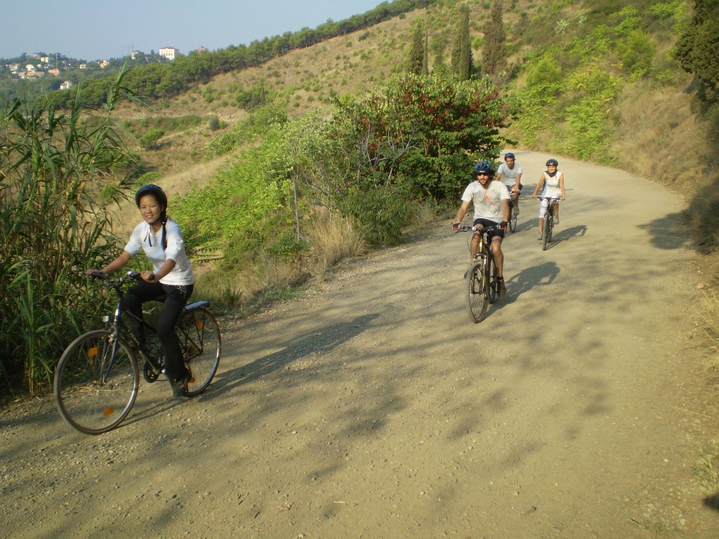 [Bici+(8)-732075.JPG]