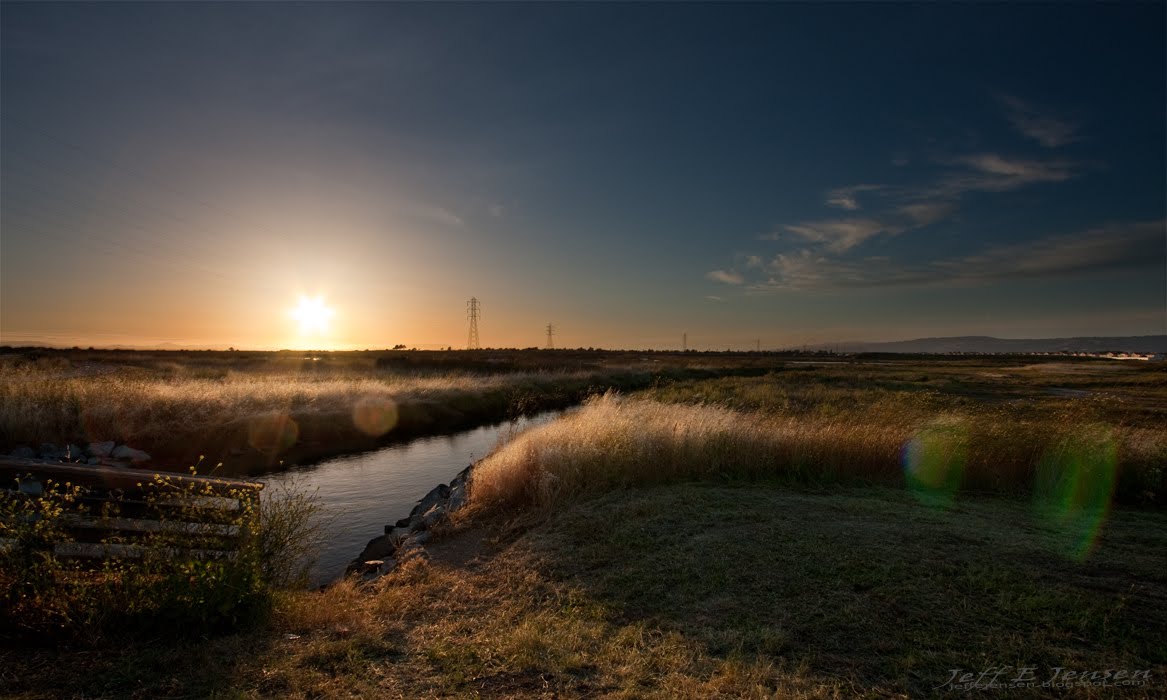 The World As I See It Heron Bay San Leandro, CA