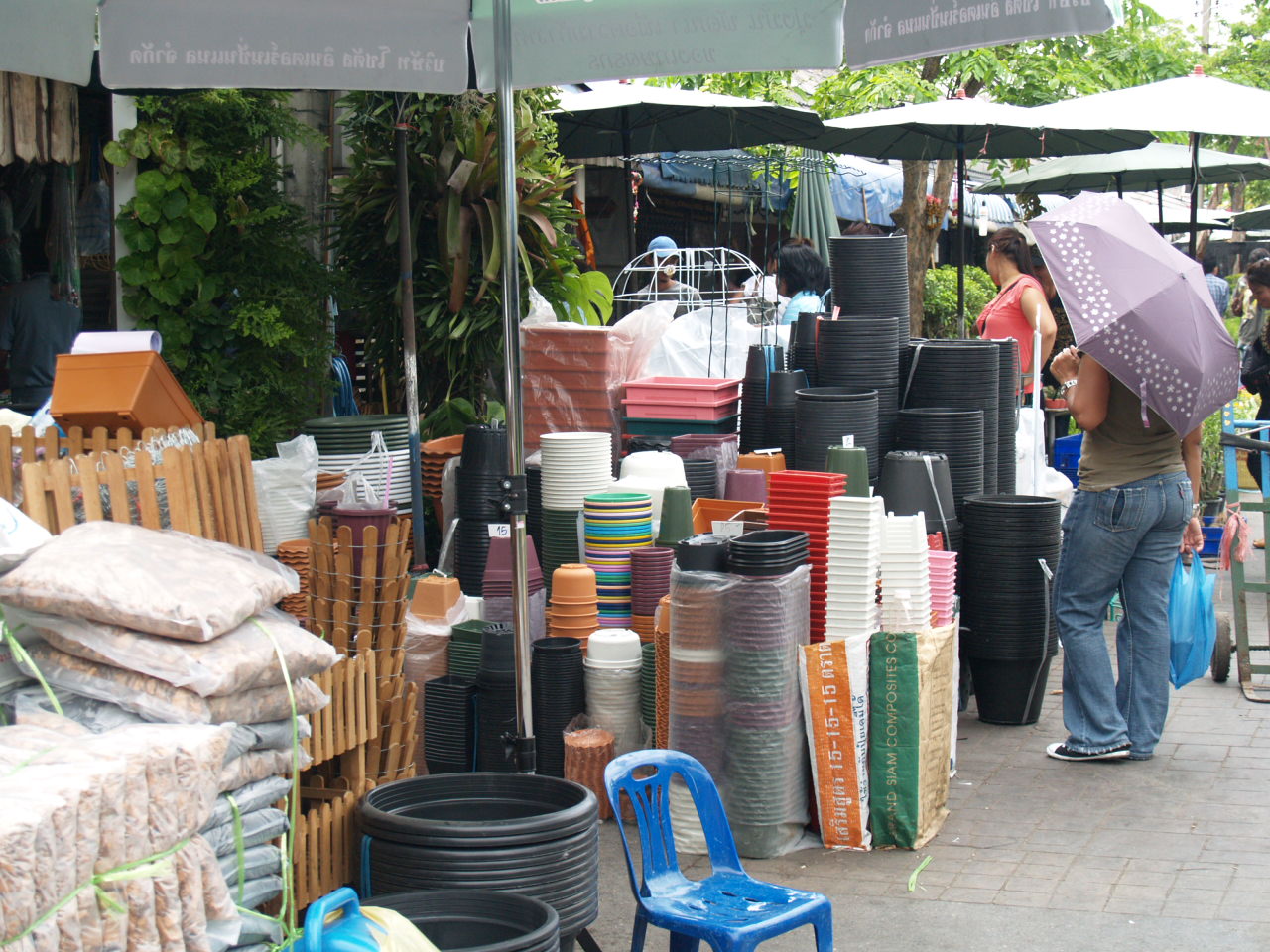 Cactus Lover JJ market biggest outdoor plant market