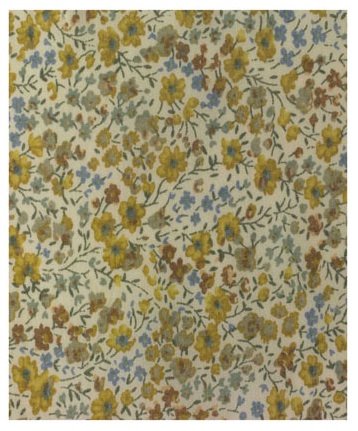 [LibertyPhoebeB.jpg]