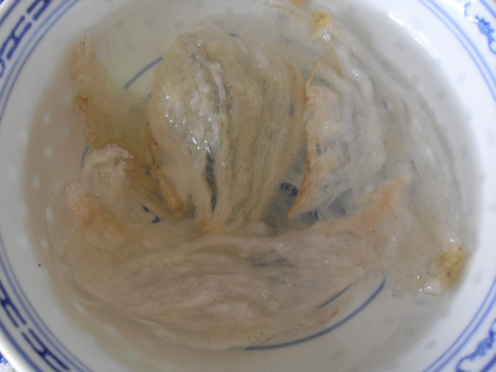 Double Boiled Bird Nest