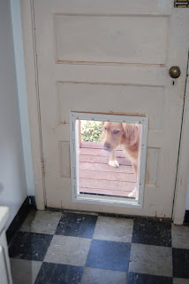 It's a Beautiful Day in Our Neighborhood: Dog Door Installation