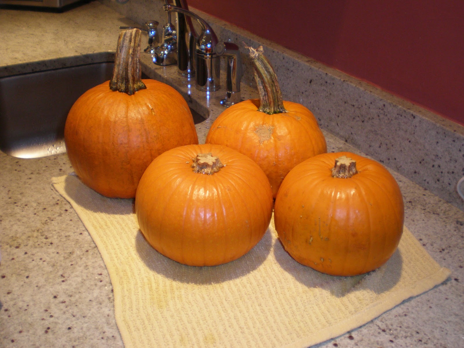 Healthy Little Appetites Preparing sugar pumpkins for baking