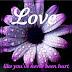 Love Like You Ve Never Been Hurt Quote