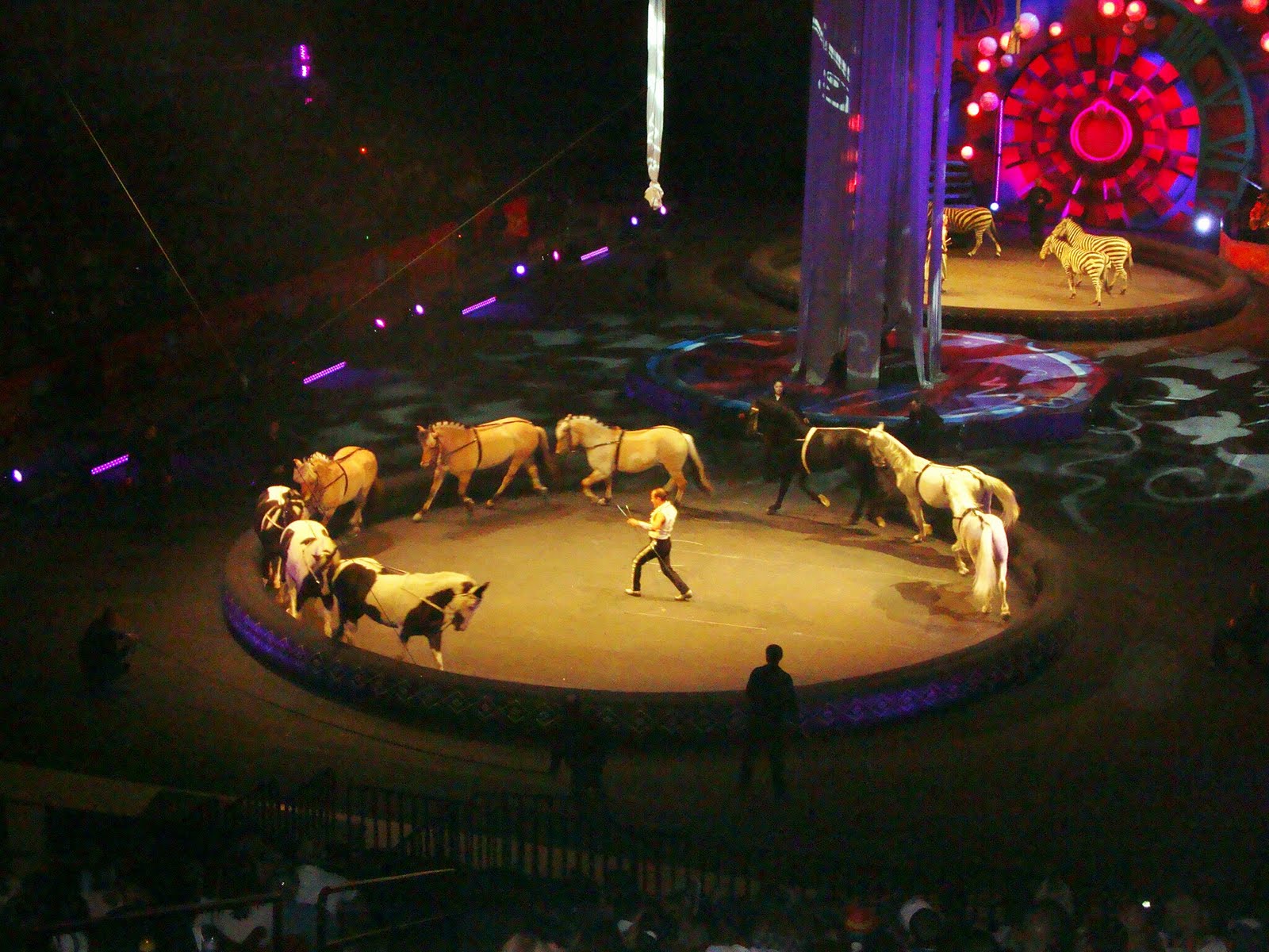Journey With The Jenks Zing Zang Zoom Abby's First Circus