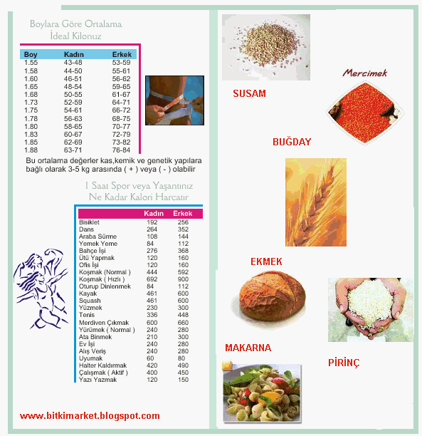 [TAHILLARIN+KALORİ+CETVELİ.GIF]