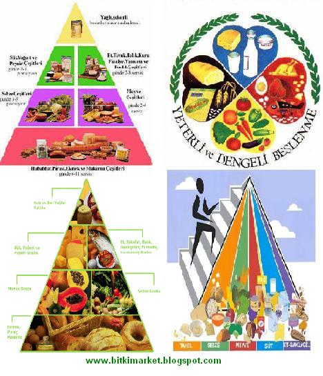 [SAĞLIKLI+BESLENME+İLE+SAĞLIKLI+YAŞAM.JPG]