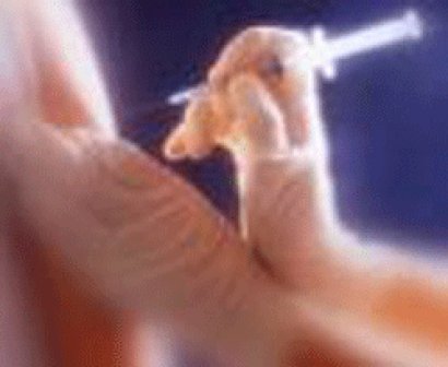 [RAHİM+AĞZI+KANSERİ+AŞISI.jpg]