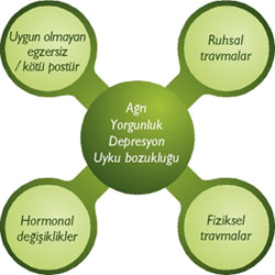 [FİBROMİYALJİ+İÇİN+ŞİFALI+BİTKİLER.jpg]