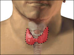 [AĞIZ+VE+GIRTLAK+KANSERİ.jpg]