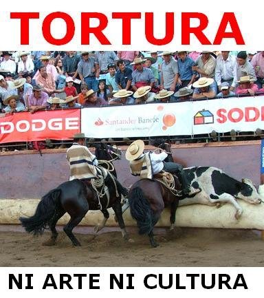 [rodeo.jpg]