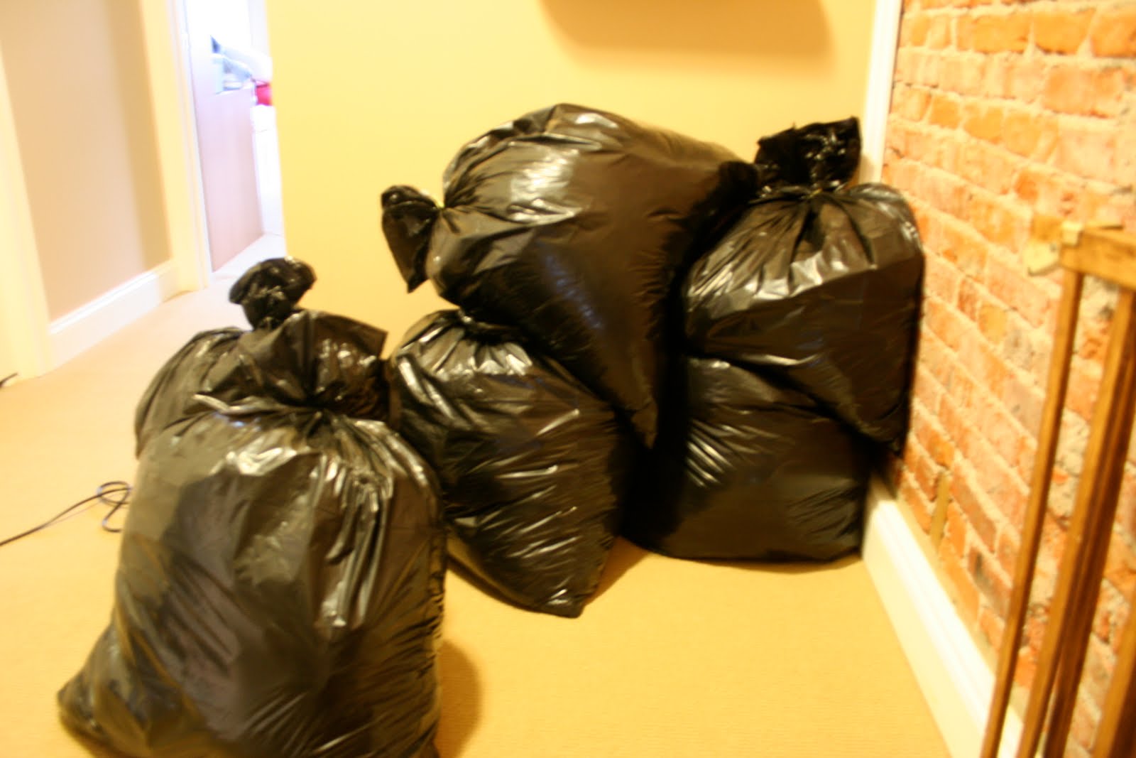 Can Bed Bugs Crawl On Plastic Garbage Bags Hanaposy