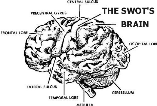 THE SWOT'S BRAIN