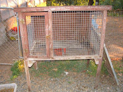 homemade plans chicken coop rabbit hutch pvc door