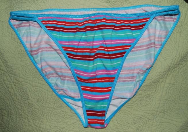Mr. Panties: Lane Bryant Cacique striped cotton string bikini panty
