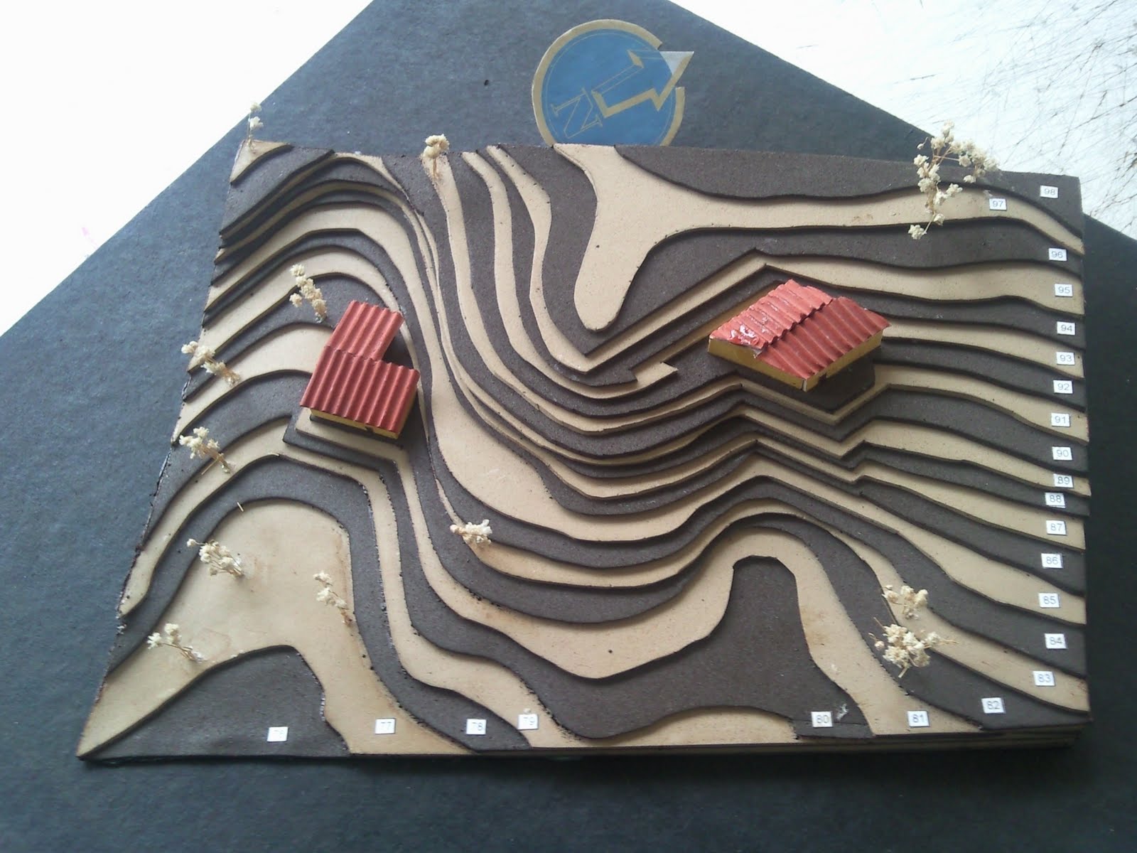 CONSTRUIZ: TOPOGRAFIA