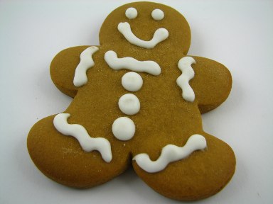 [1_gingerman_inteiro.jpg]