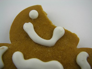 [3_dentada_na_cabeca_do_gingerman.jpg]