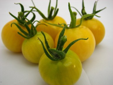 [Tomates_cereja_1.jpg]