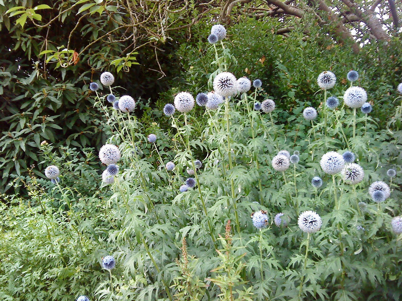 Wallpaper Hangers Portsmouth