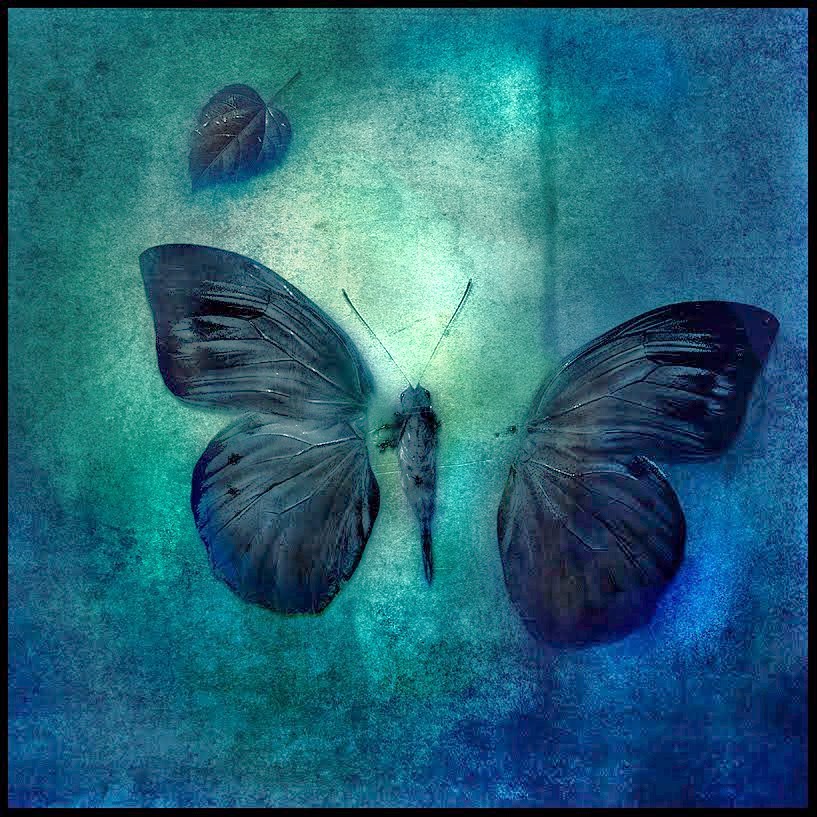 [e70b481bf97ef86253688929c332df7e.jpg]