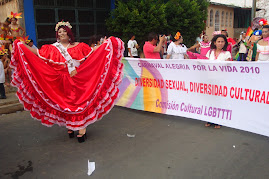 Diversidad sexual, Diversidad cultural,