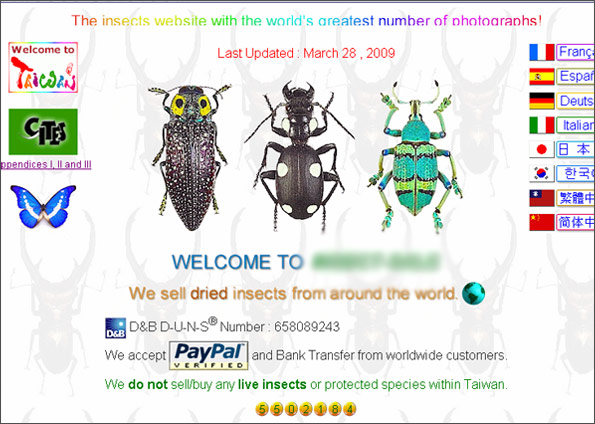 [insetos_brasileiros_vendidos_na_internet_sites.jpg]