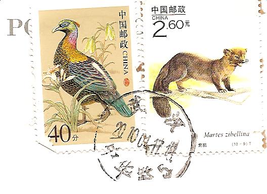 [stamps+TIBET+jan29010.jpg]