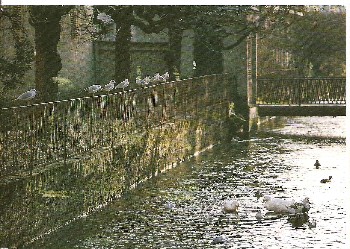 [SWITZERLAND+febr22010.jpg]