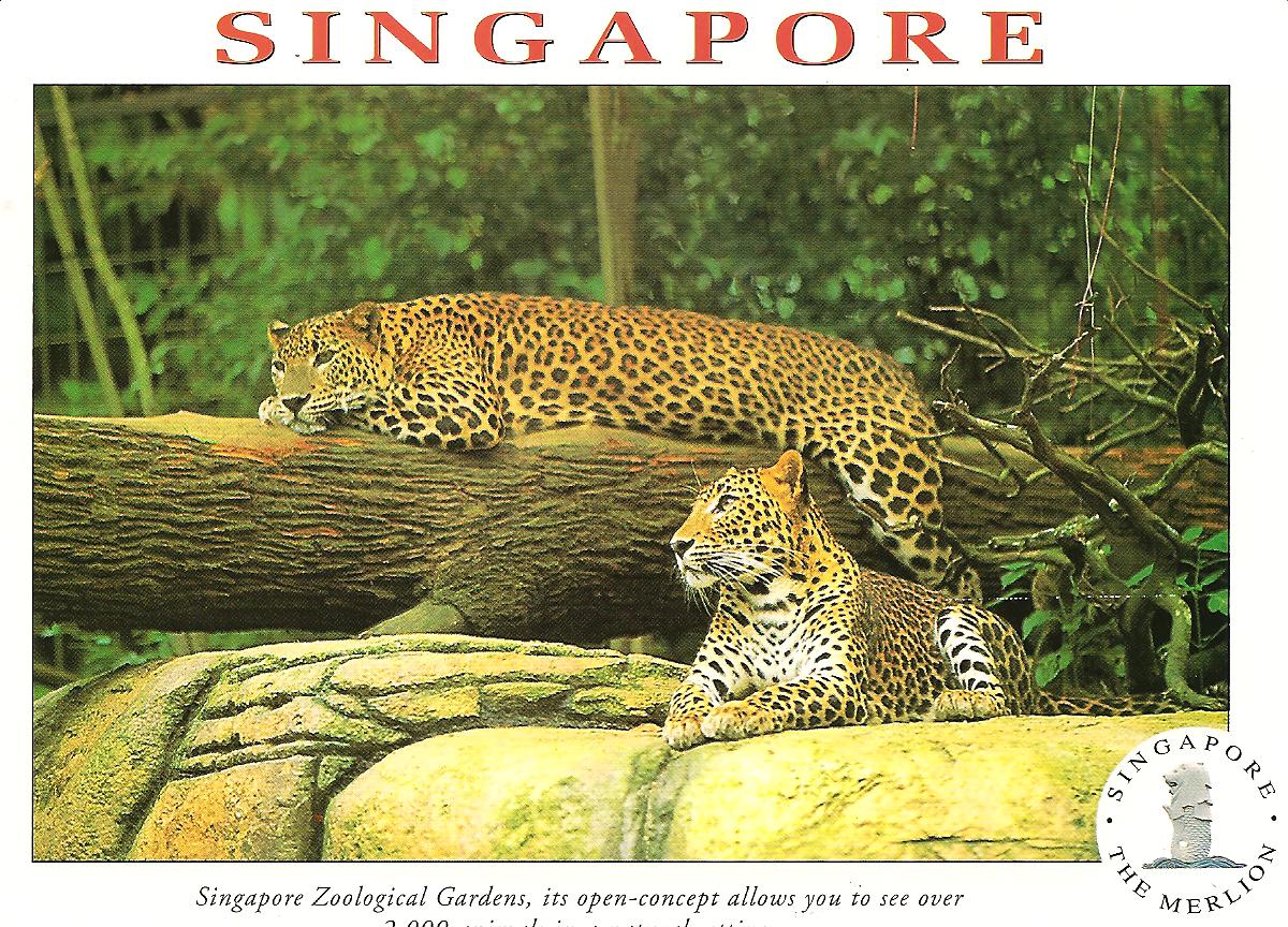 [SINGAPORE+APRIL+25.jpg]